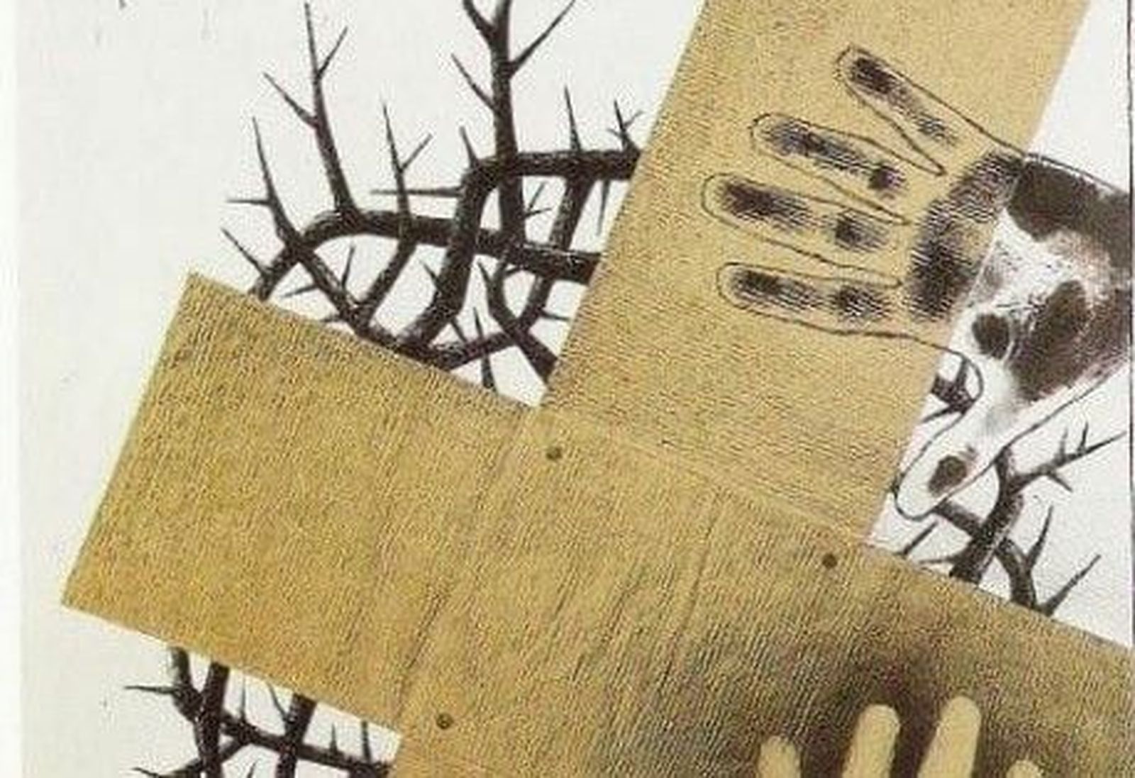 120917164 10224666684159770 6705370934737973156 n