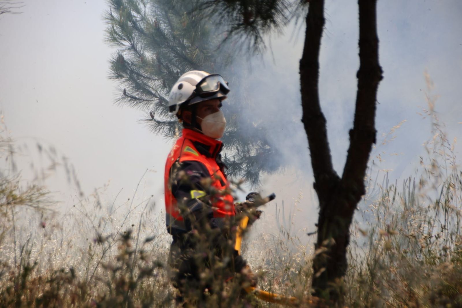 Incendio de pasto en los entornos de la avenida de La Aldehuela