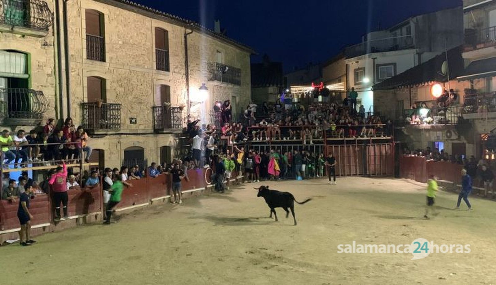 Apartado, encierro y vaquilla del Aguardiente en Aldeadávila. Foto S24H
