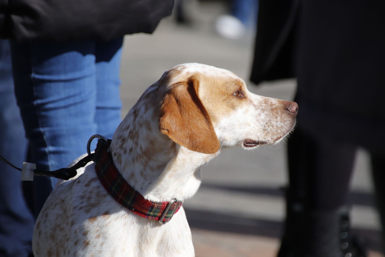 20230205121145-mg-5687