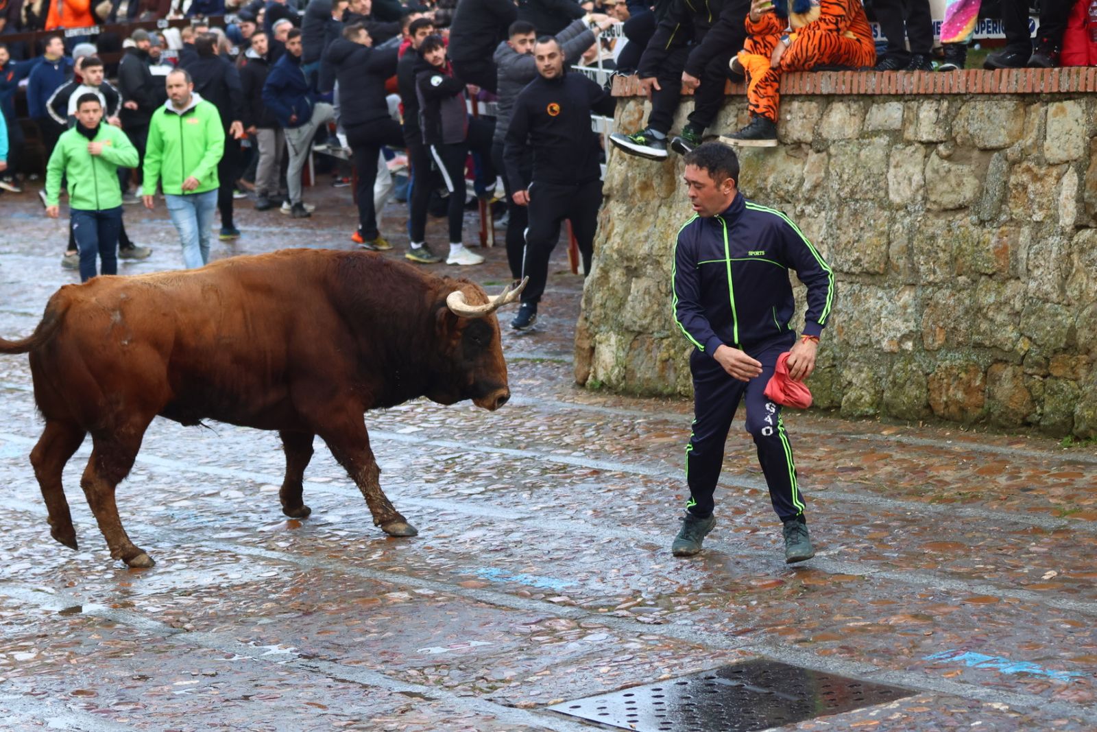 Toro del aguardiente en la mañana de martes del Carnaval del Toro 2026