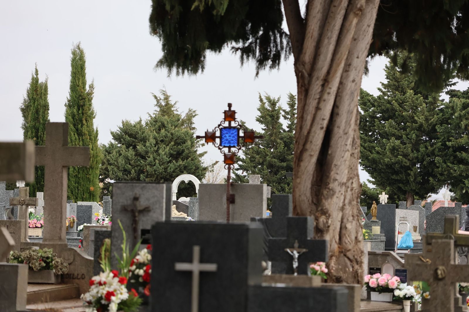 GALERÍA | La lluvia no detiene la tradición: los zamoranos acuden al cementerio para recordar a sus fallecidos