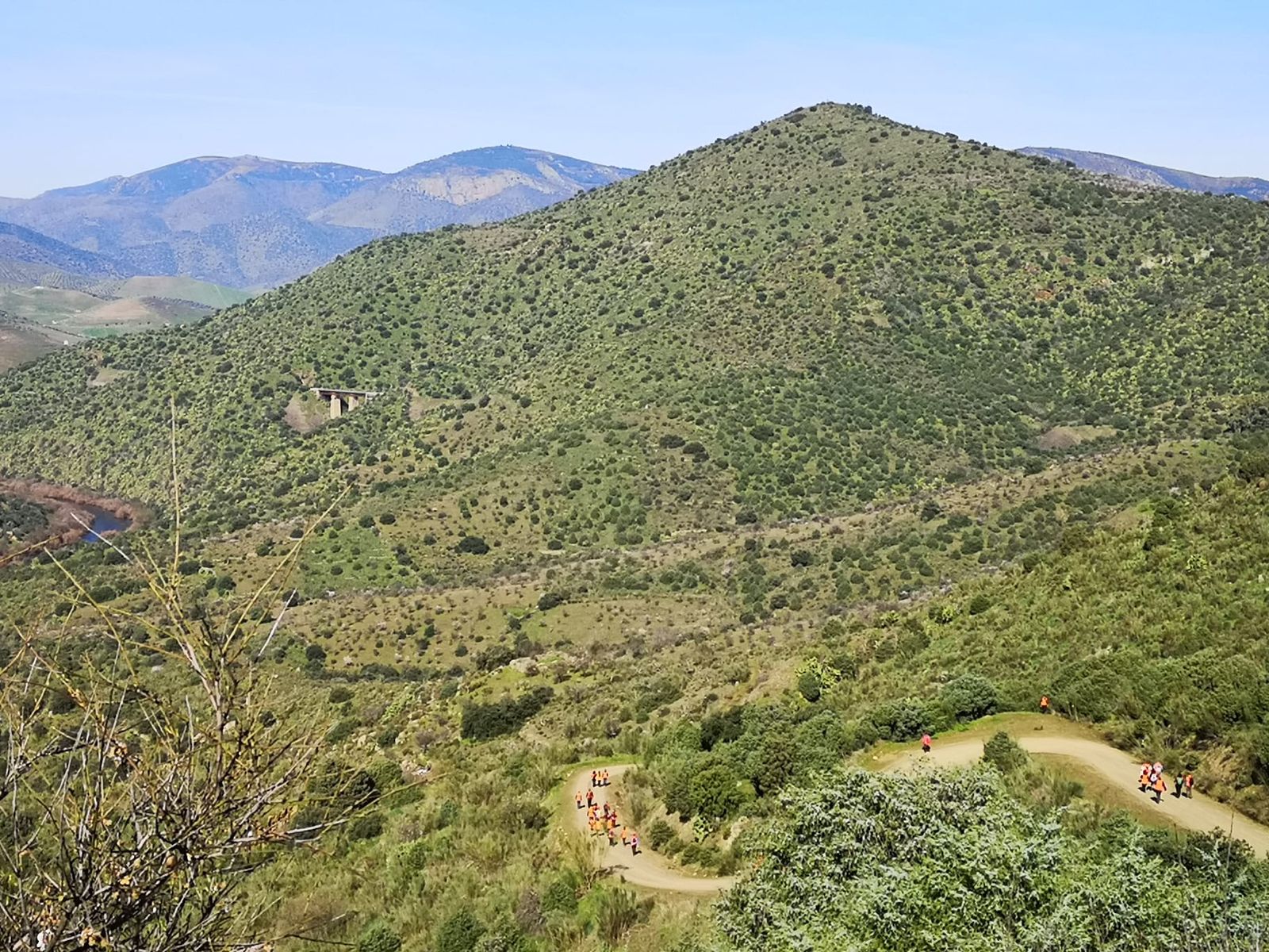 Más de un centenar de senderistas recorren La Fregeneda entre almendros en flor