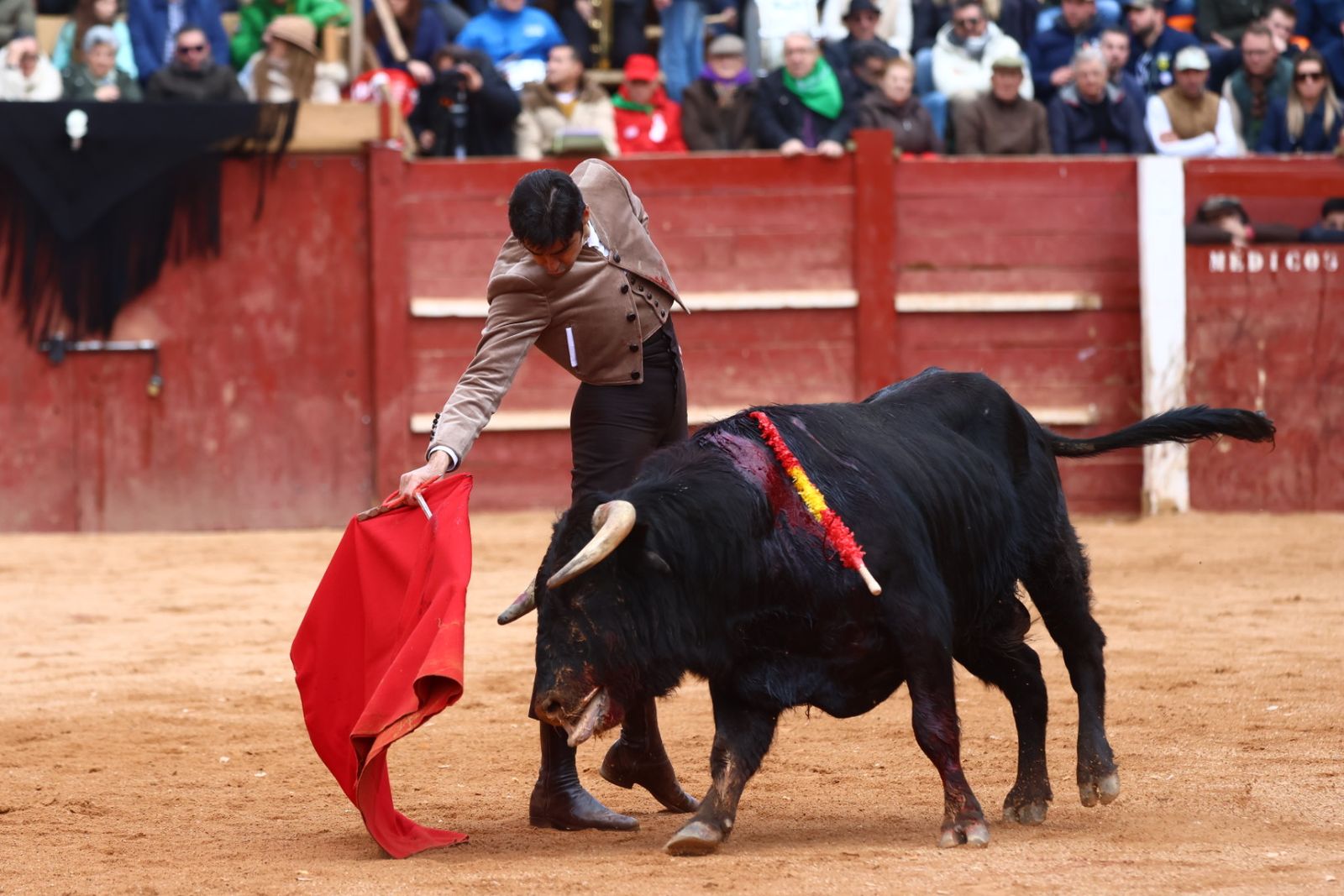 Festival del martes en el Carnaval del Toro 2026