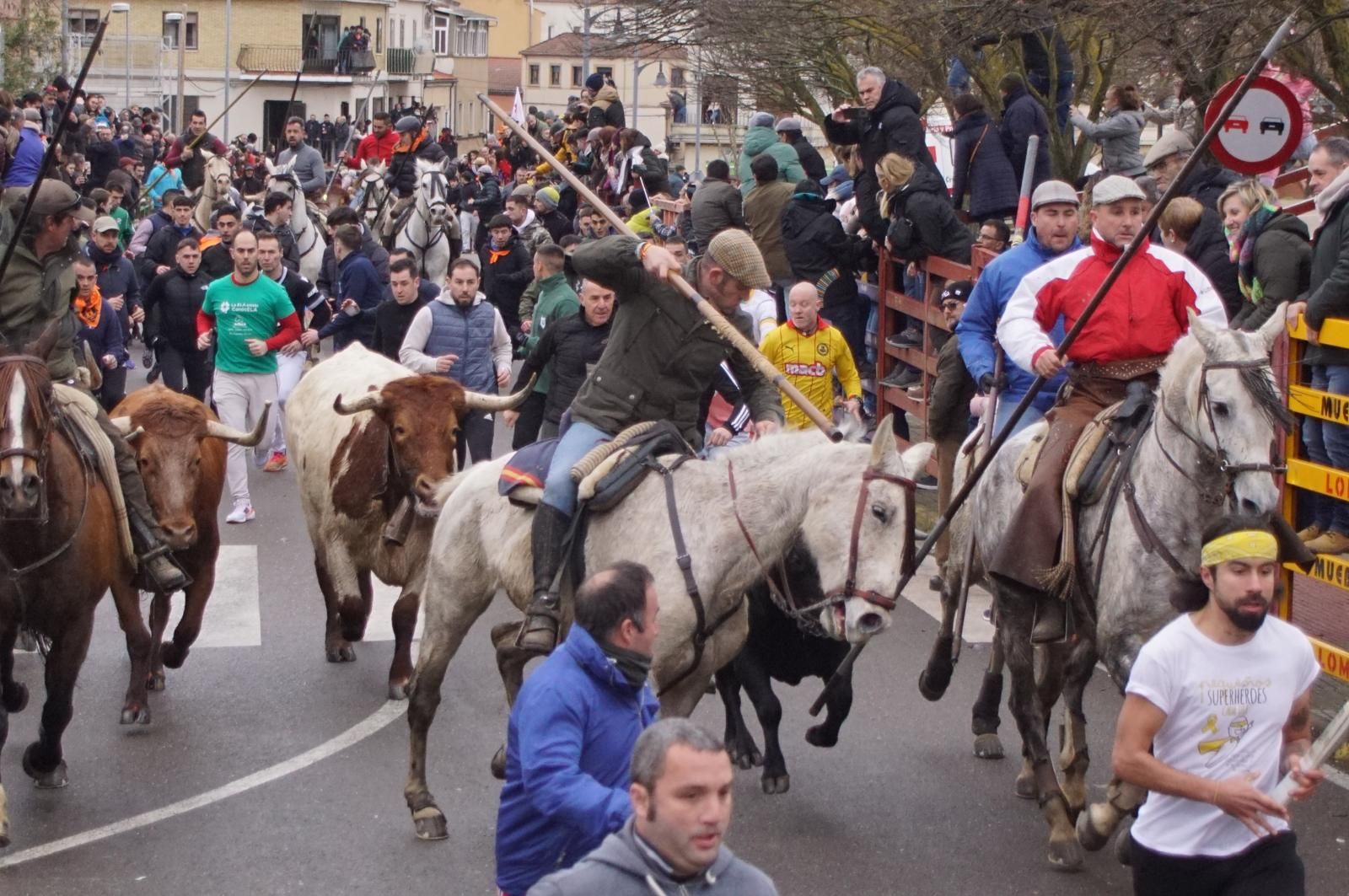 Encierro a Caballo en el Carnaval del Toro 2026 de Ciudad Rodrigo