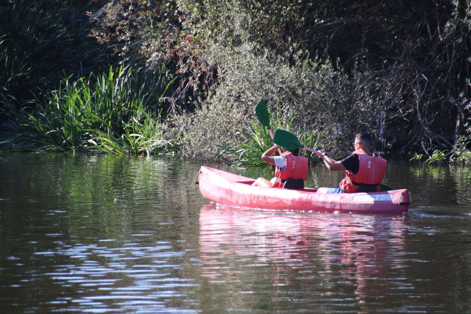Piraguas en el Puente Gudino