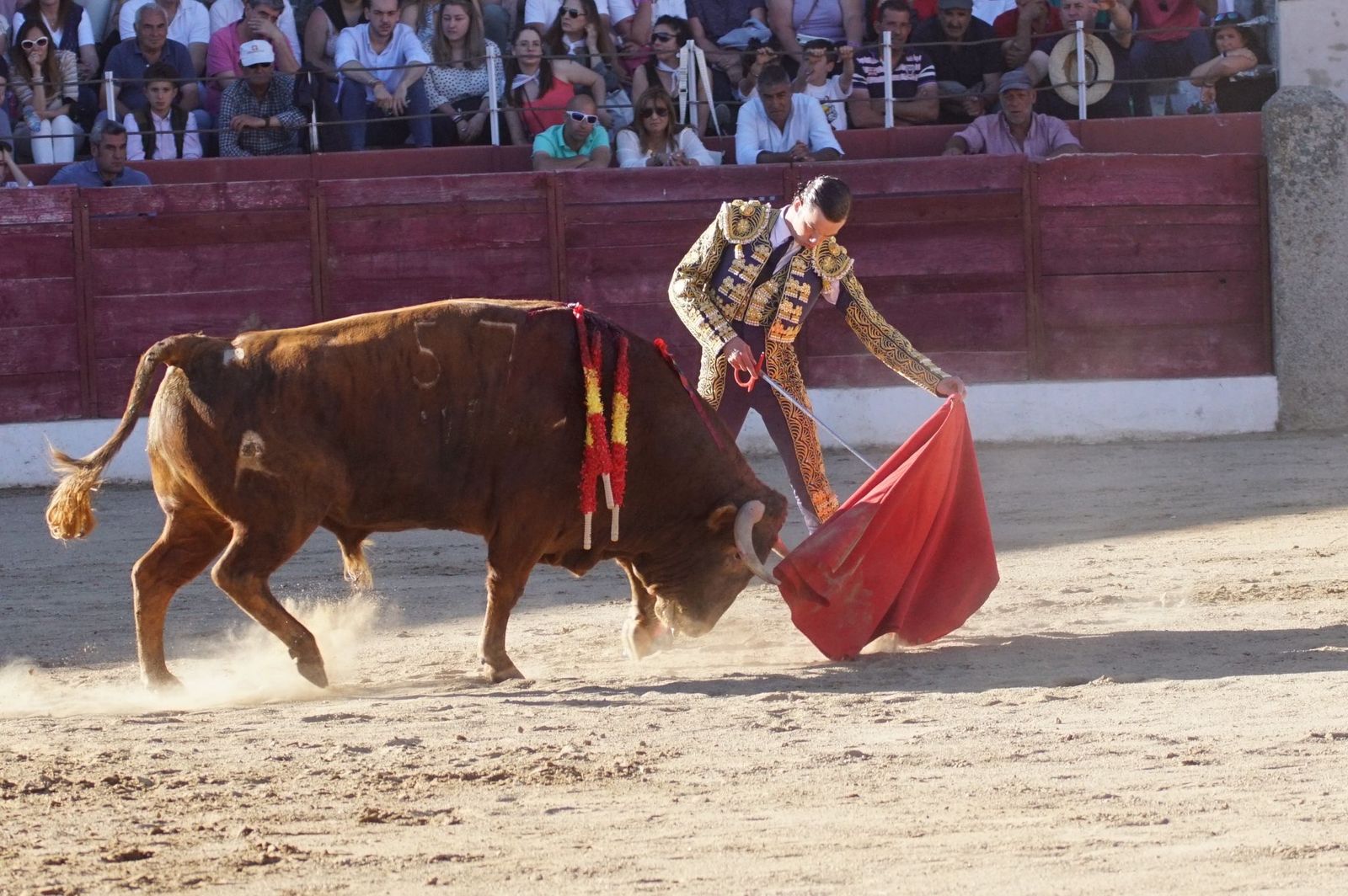 whatsapp-image-2024-06-02-at-22-11-56-1