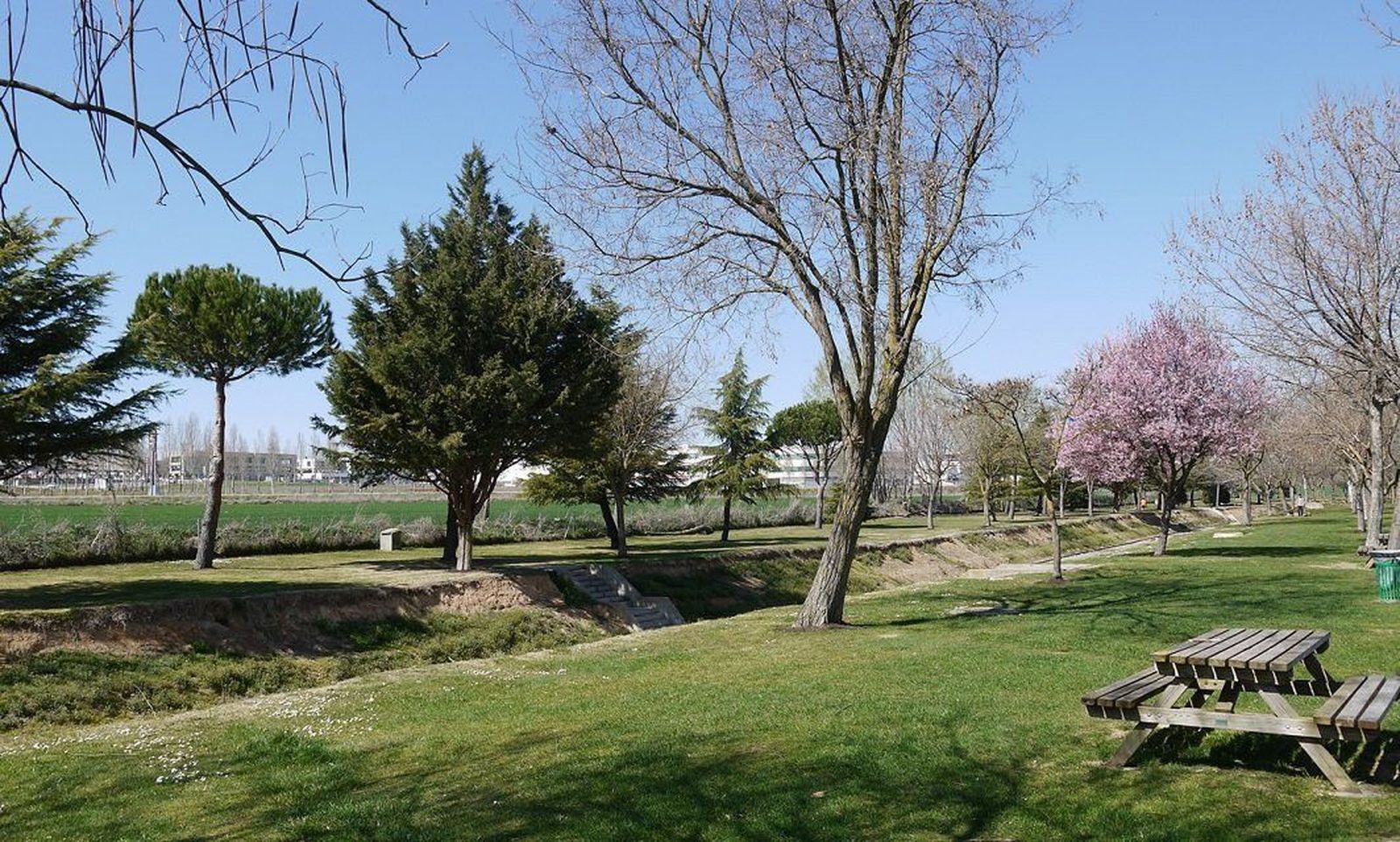 Ocho razones para apostar por las huertas urbanas