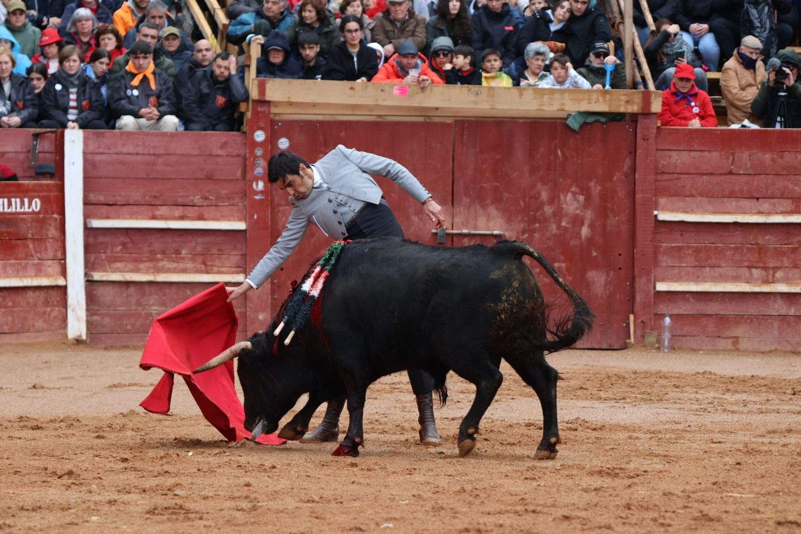 Festival taurino con picadores con toros de Talavante para Miguel Ángel Perera, Daniel Luque, Manuel Disoleguarde en Ciudad Rodrigo