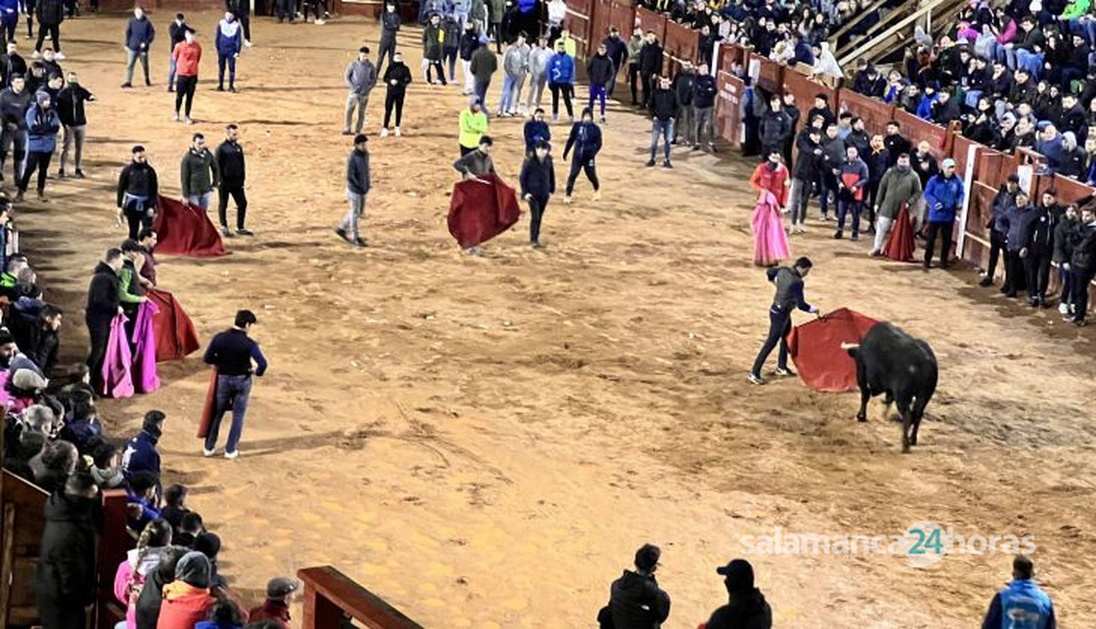 Capea nocturna lunes Ciudad Rodrigo Carnaval 2025 Capea nocturna lunes Ciudad Rodrigo Carnaval 2025
