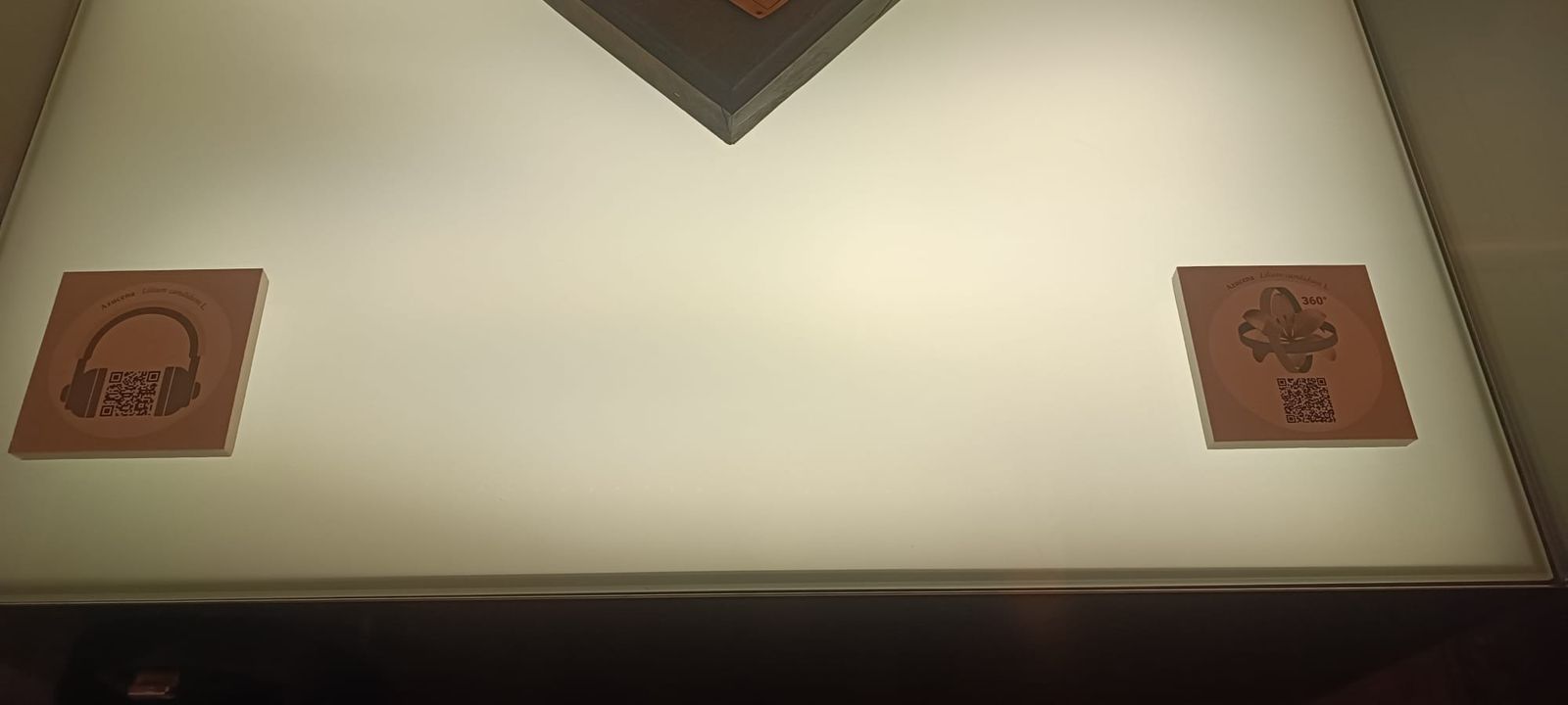 exposicion-botanica-18