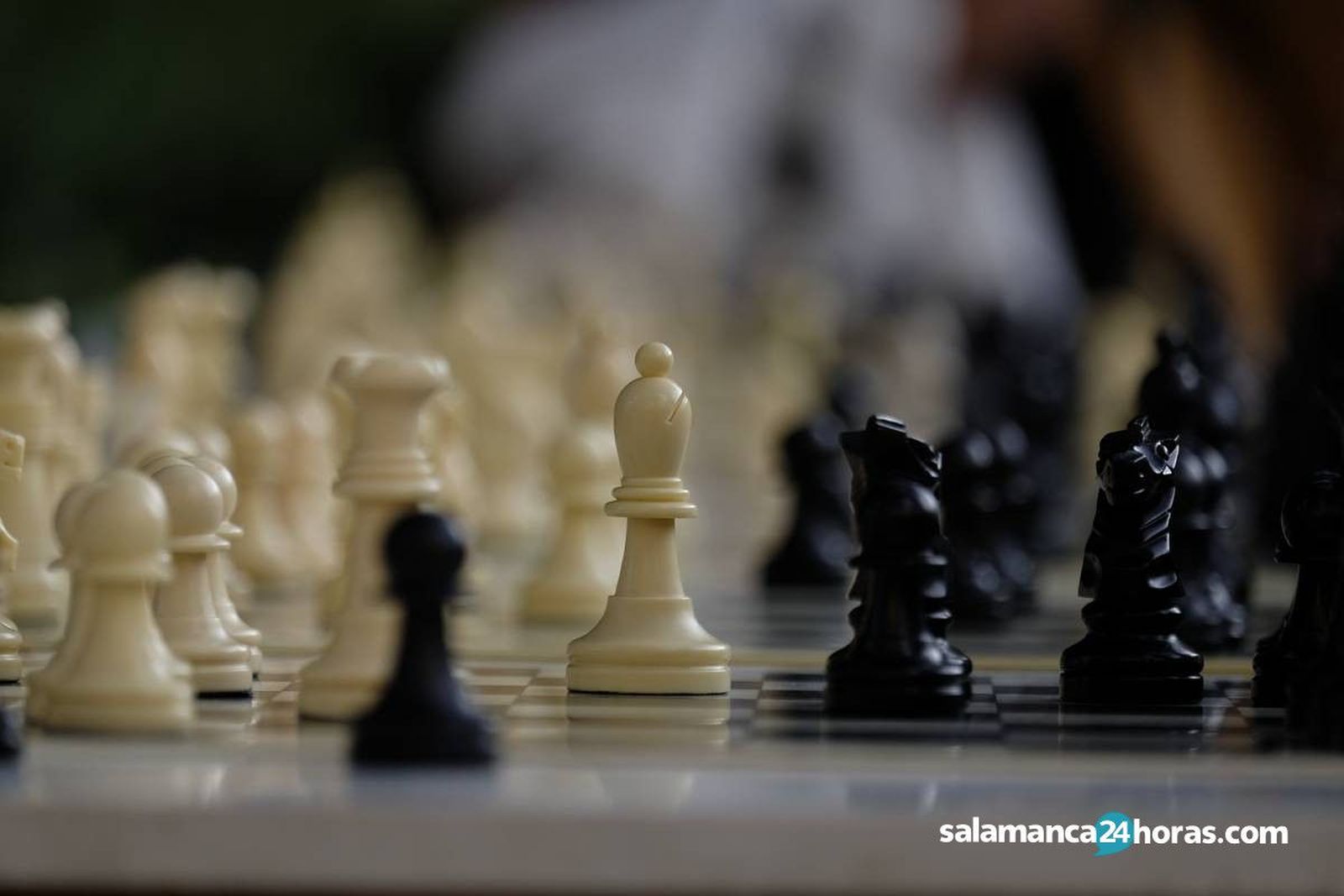 Ajedrez tono0358
