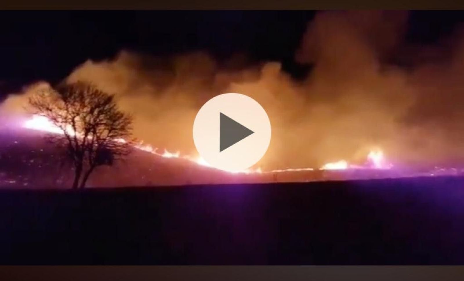 WhatsApp Image 2020 09 07 at 01.32.51