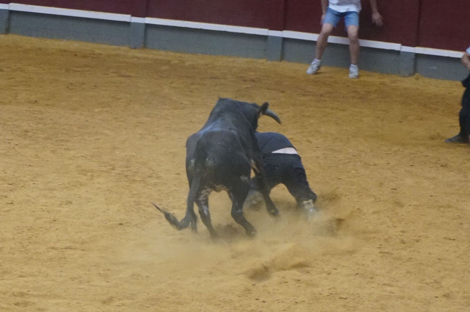 WhatsApp Image 2025-08-24 at 10.00.35 (1).jpeg