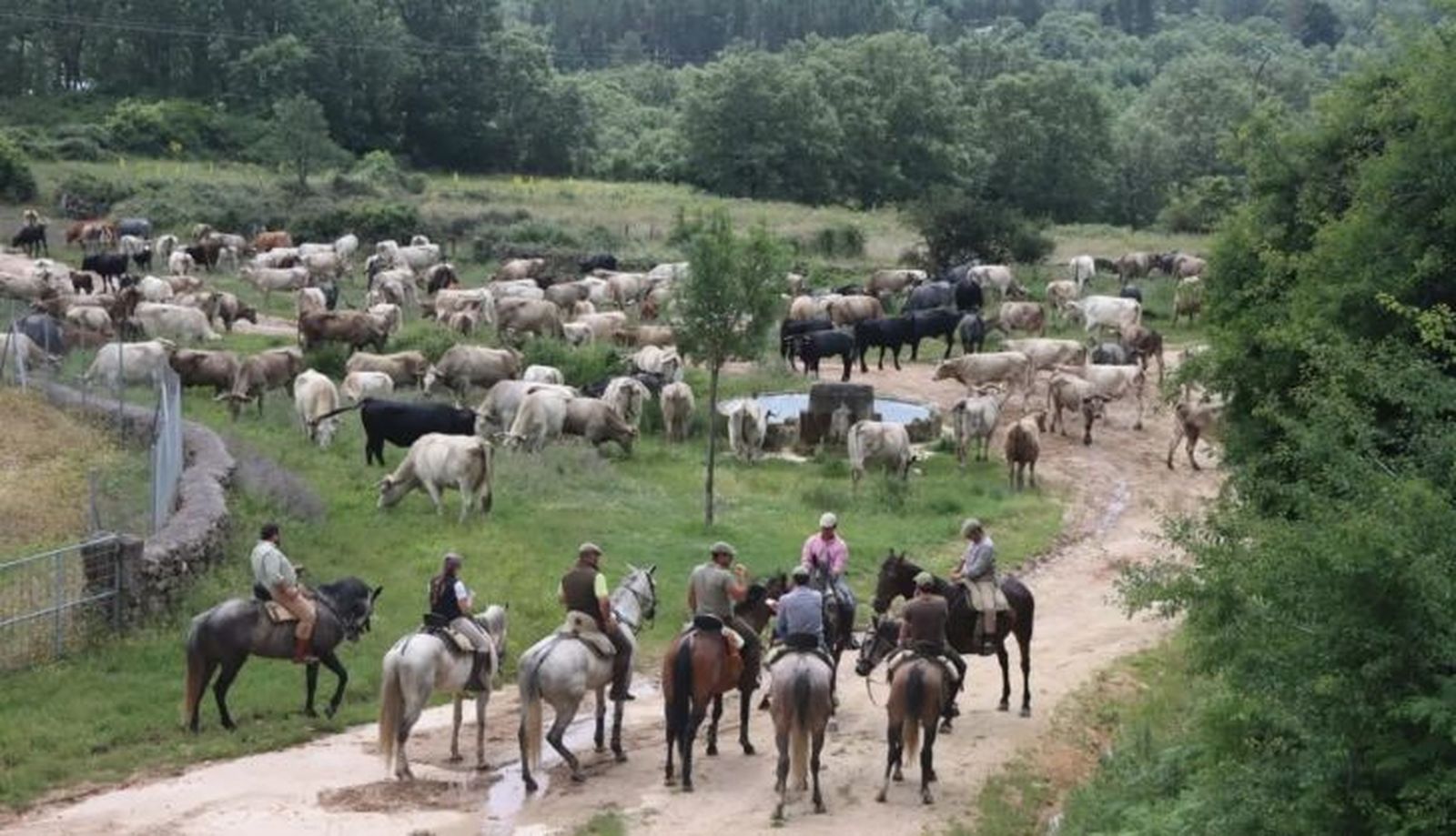 WhatsApp Image 2023 11 24 at 10.56.18 (1)