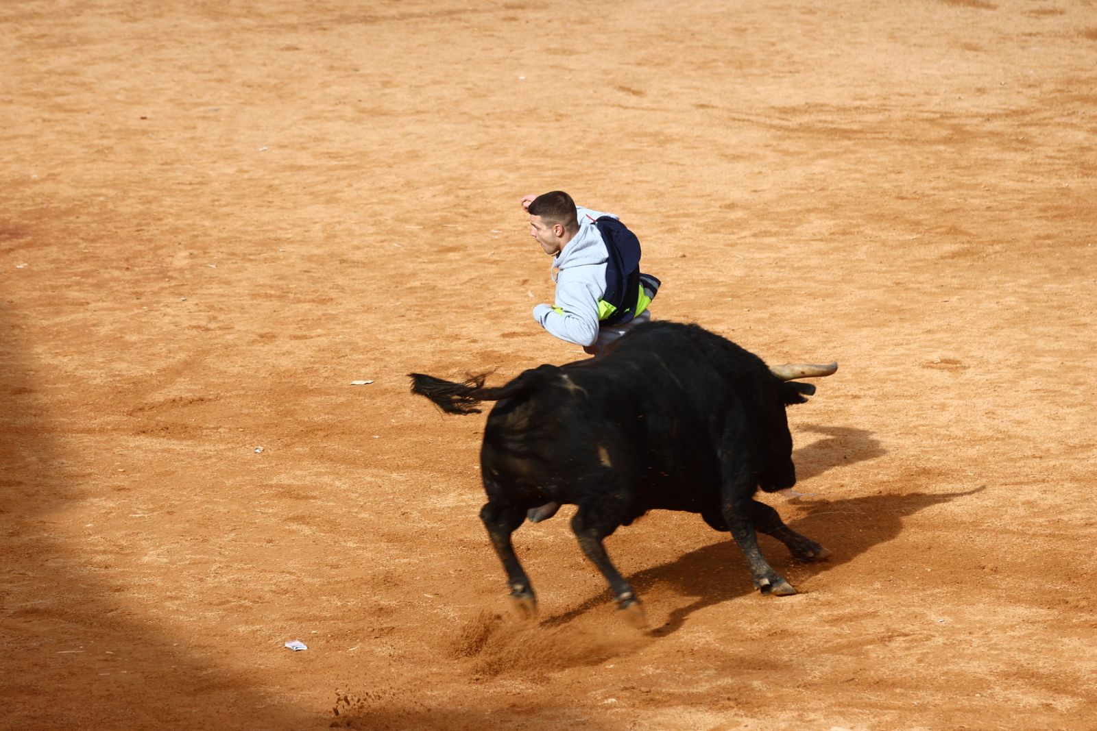Capea de mañana en el martes del Carnaval del Toro de Ciudad Rodrigo