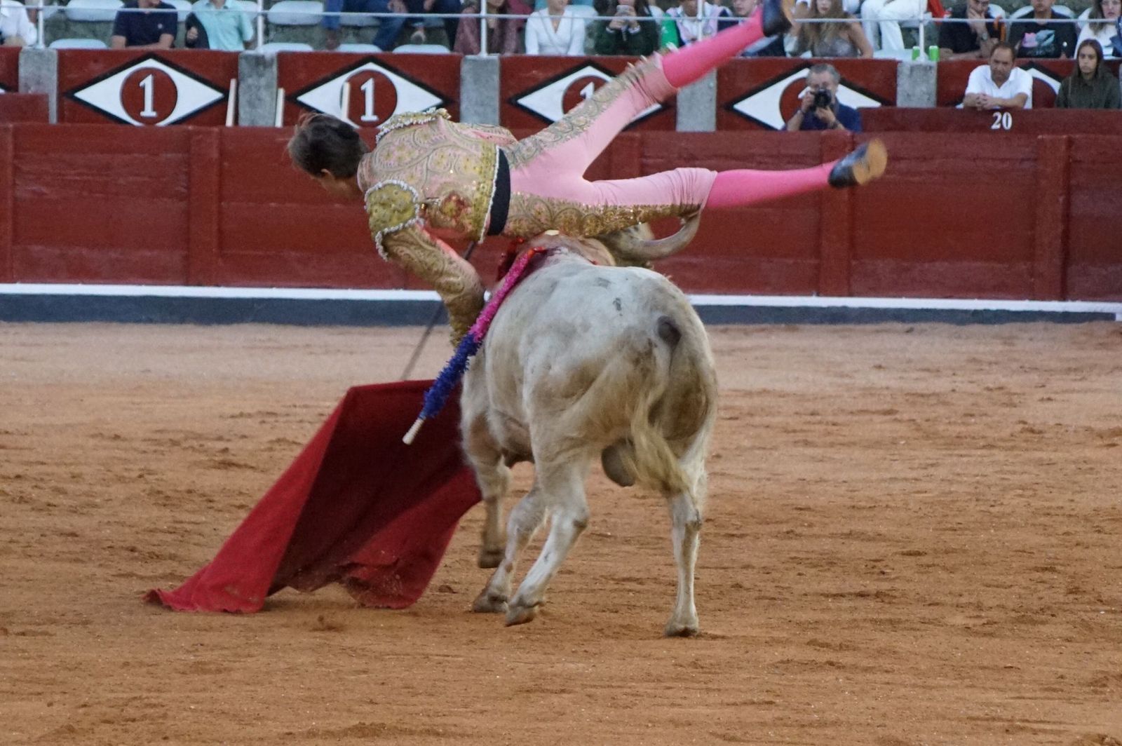 whatsapp-image-2022-09-08-at-9-22-10-pm-1