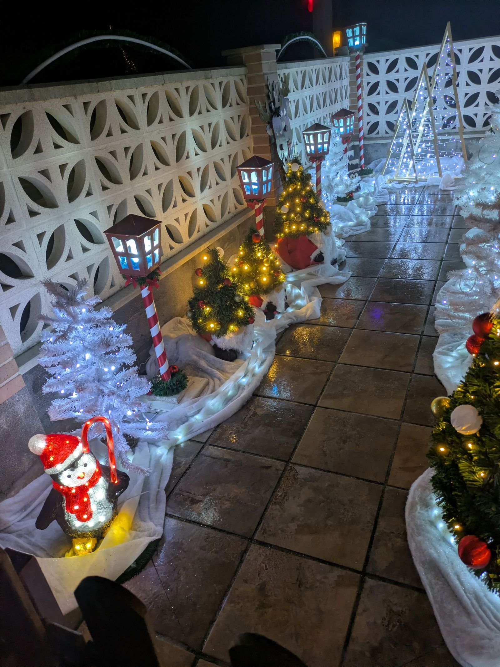 O.M.D. - Decoración navideña en una vivienda de Cantalapiedra (1).jpg