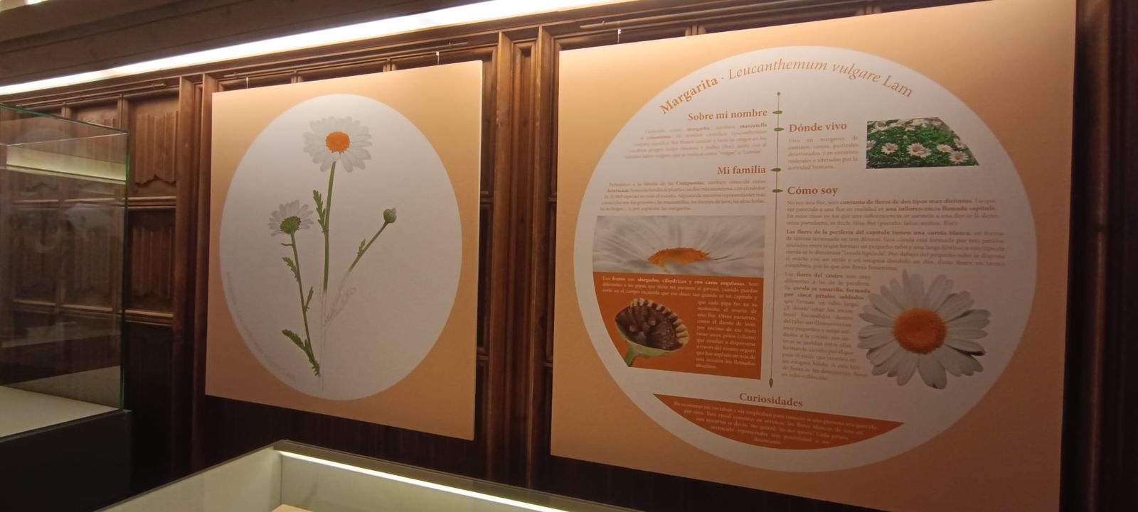 exposicion-botanica-8