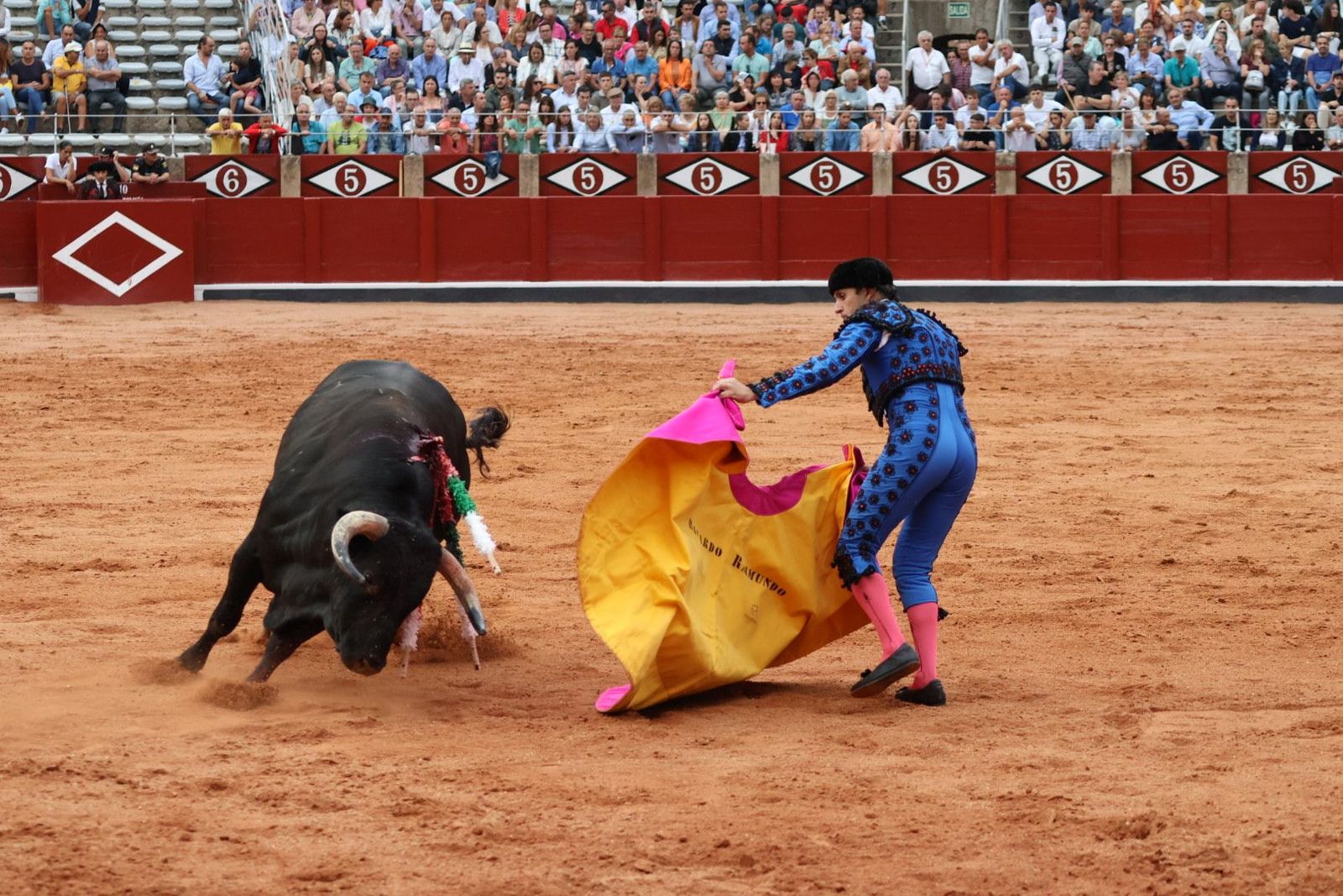 20230909190541-img-0791