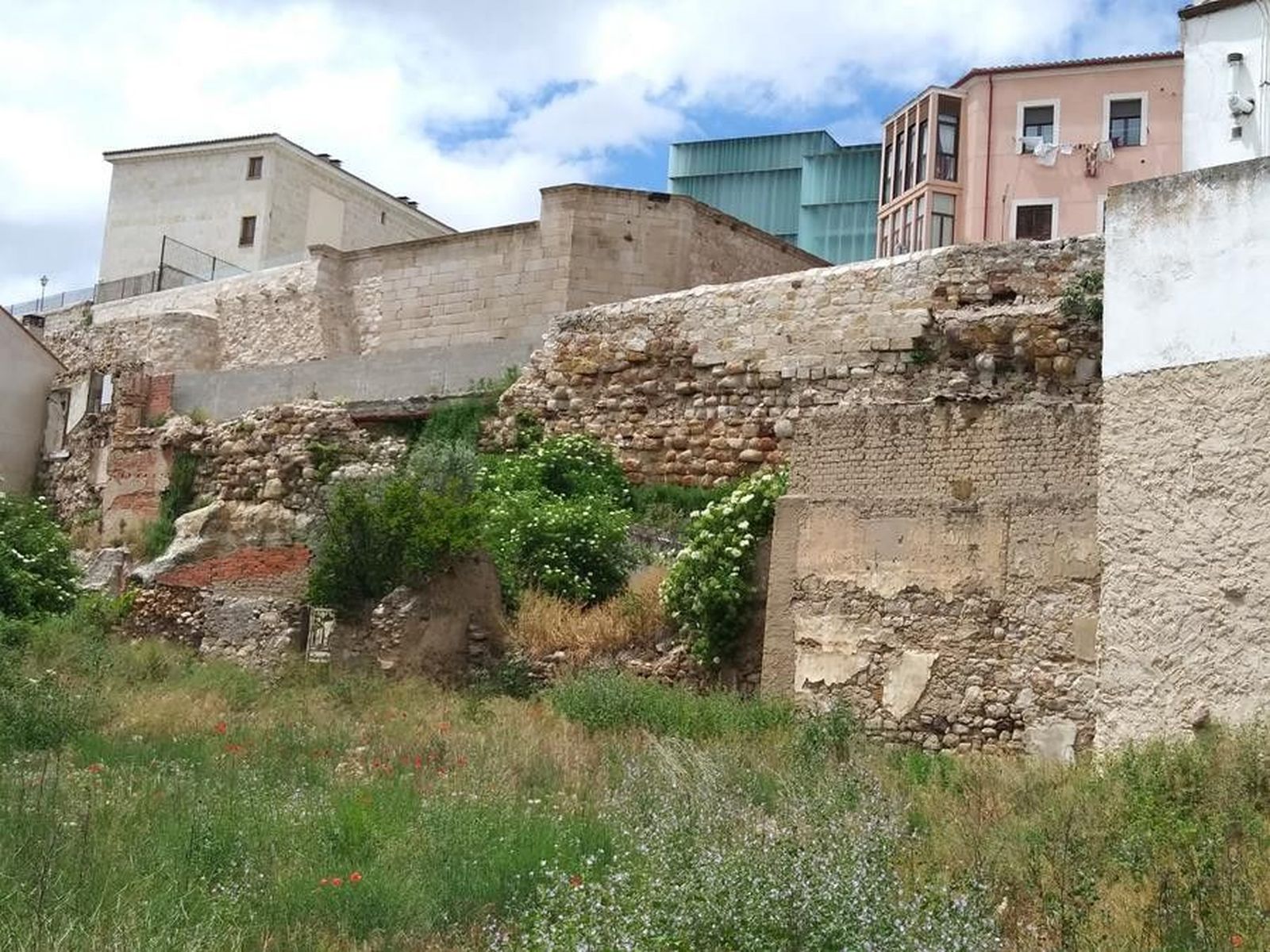 Muro herrerros 022 (Copy)