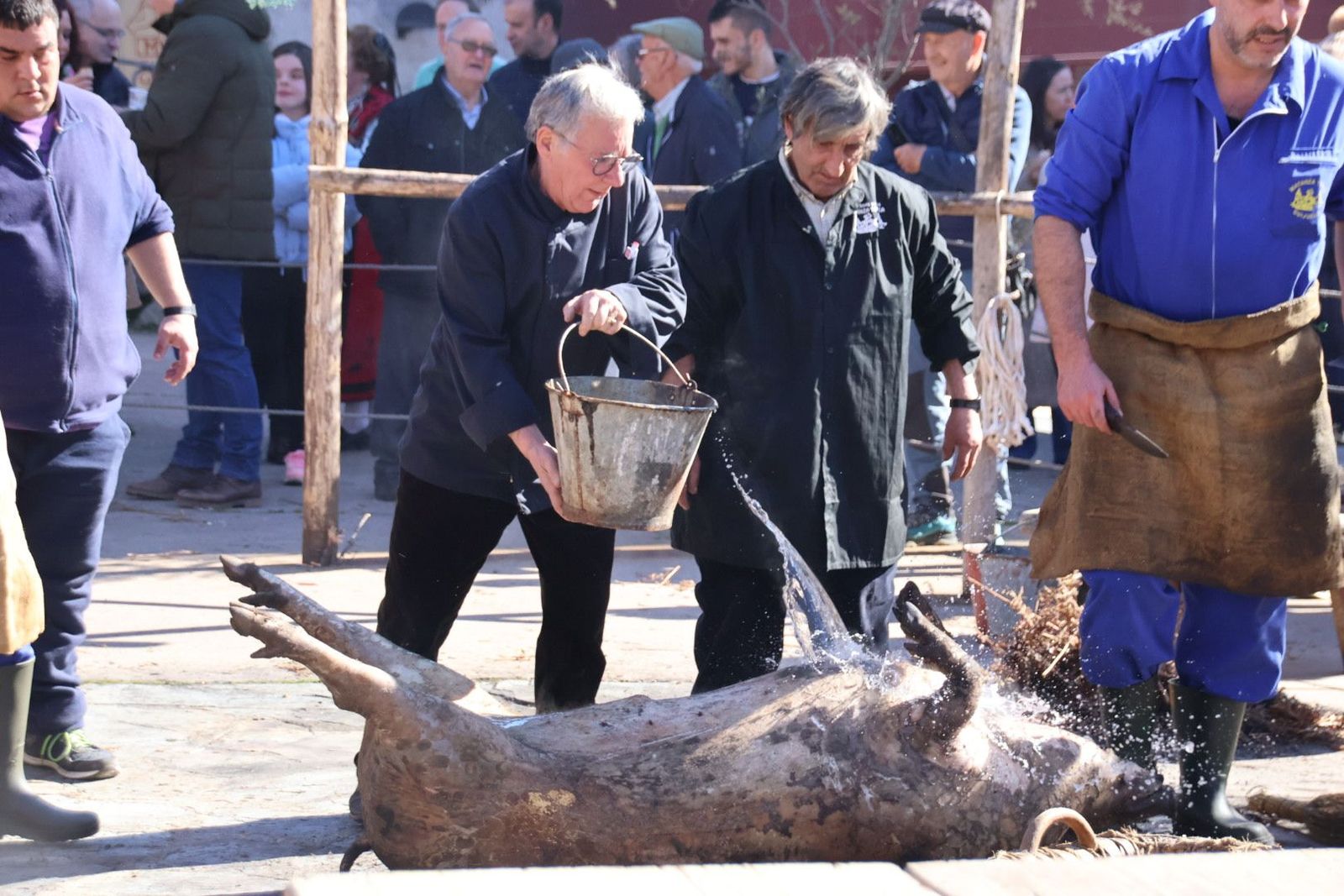 20240203132748-img-4489