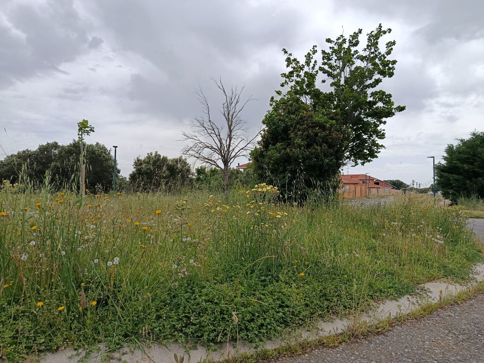 Urbanización Oasis Golf en Carrascal de Barregas  (14).jpeg