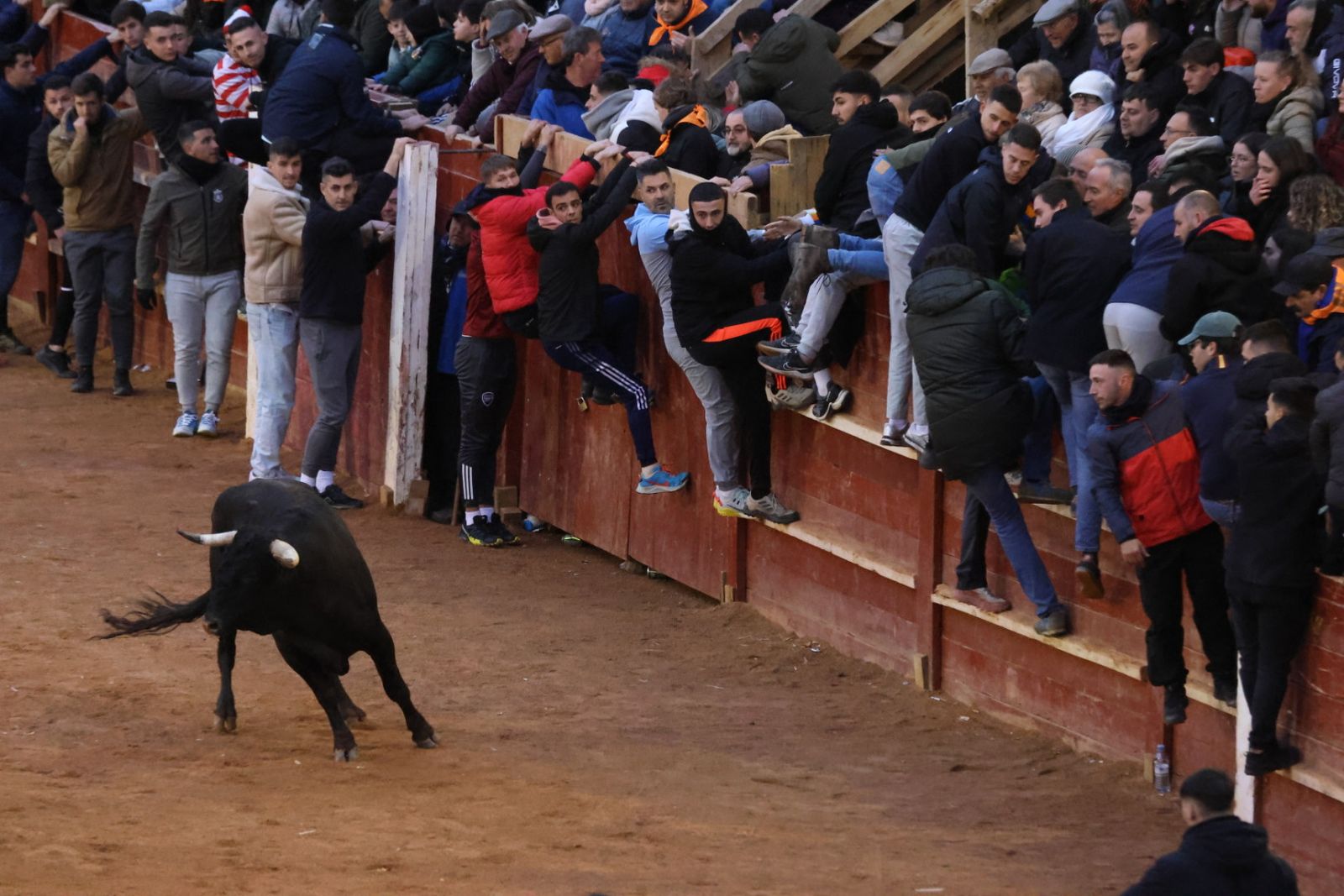 Capea y desencierro de domingo tarde en el Carnaval del Toro 2026