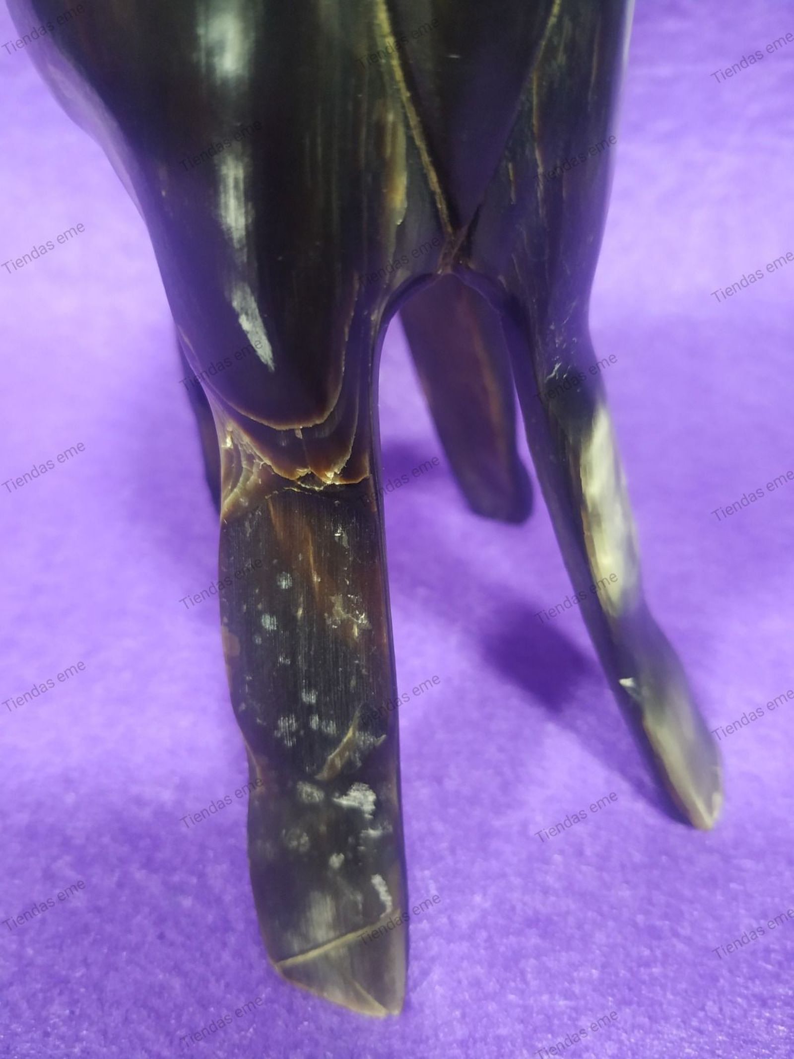 whatsapp-image-2024-03-16-at-12-36-16