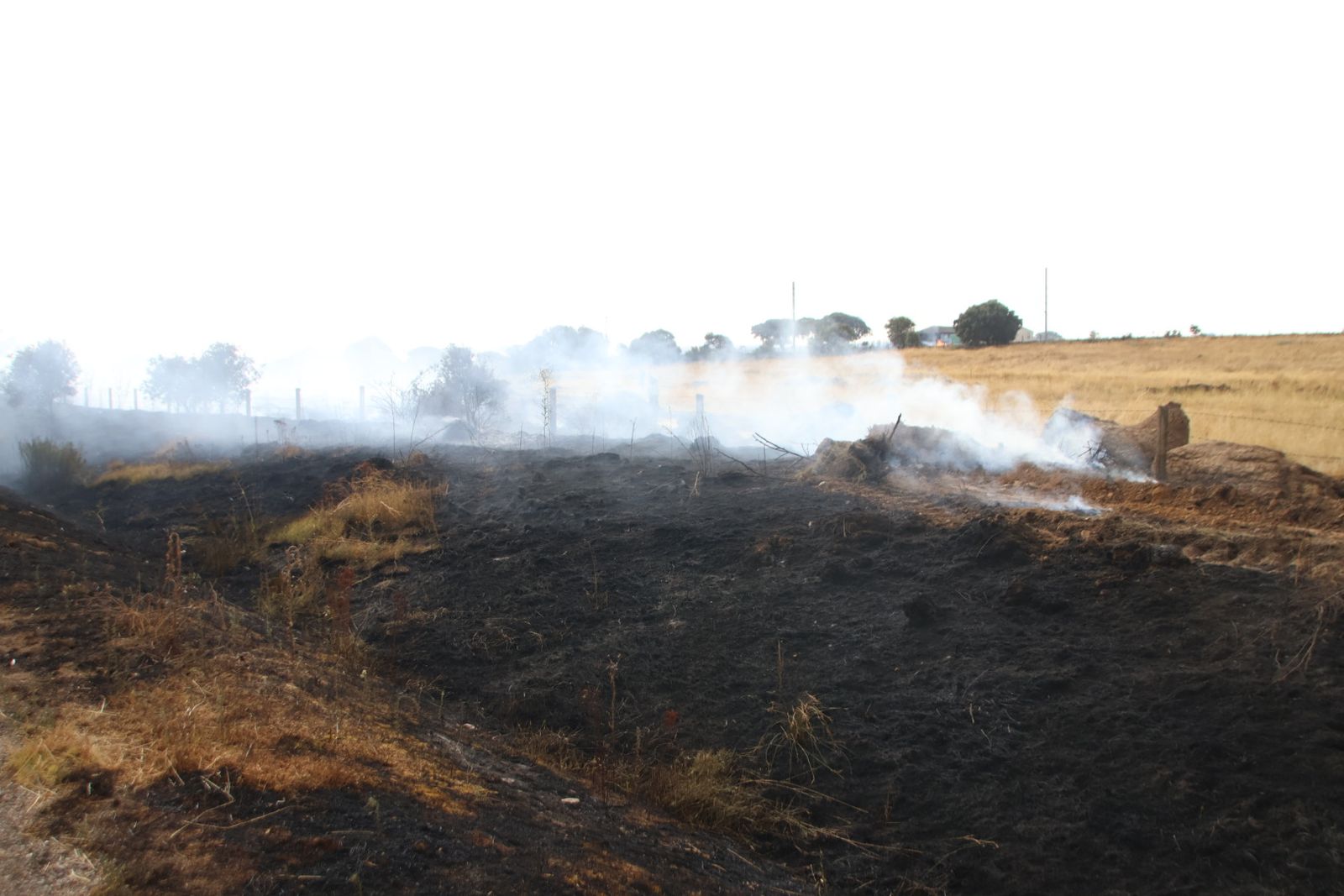 Un incendio de nivel 2 afecta al entorno rural de Martín de Yeltes