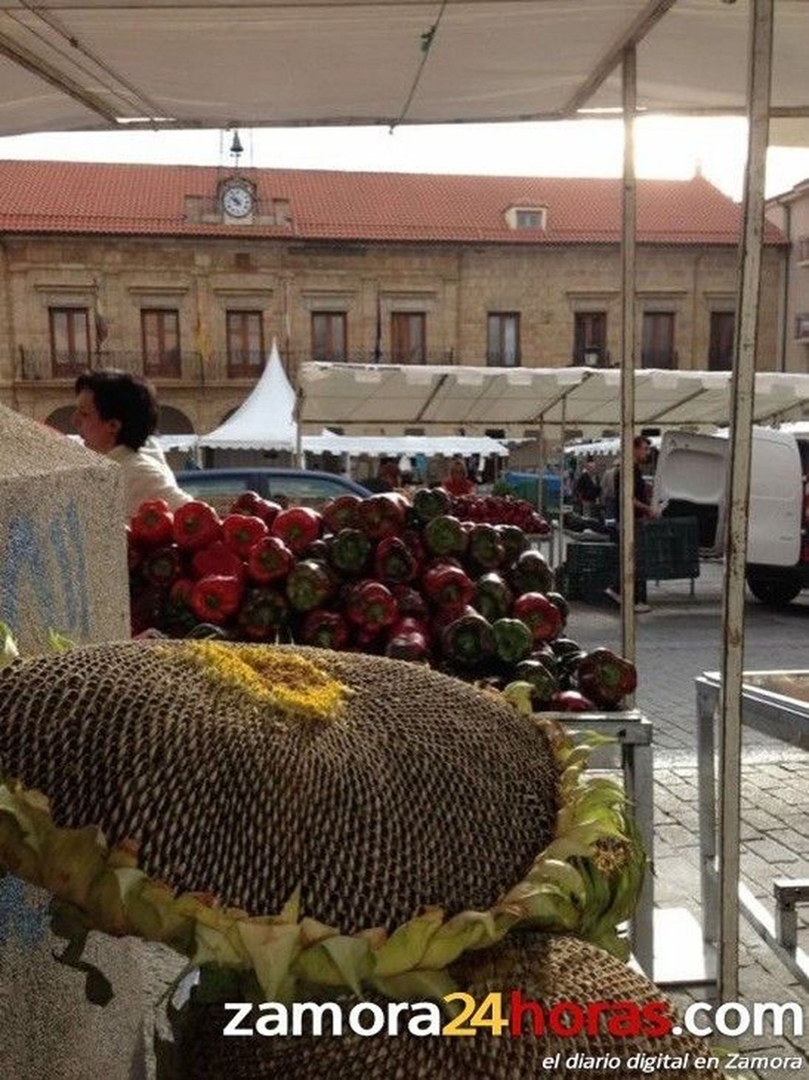Feria del Pimiento de Benavente