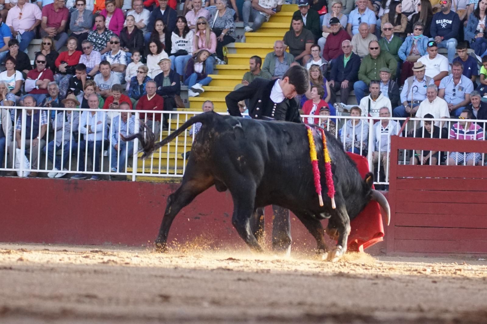 whatsapp-image-2024-09-06-at-20-54-18-2