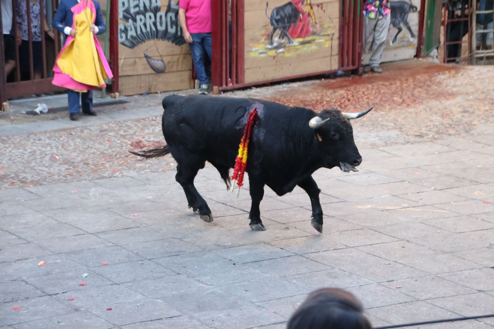 San Esteban de la Sierra, festival taurino sin picadores