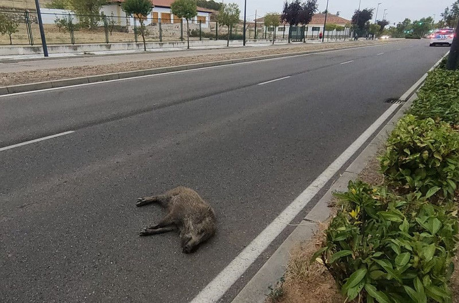 WhatsApp Image 2020 09 16 at 20.06.28