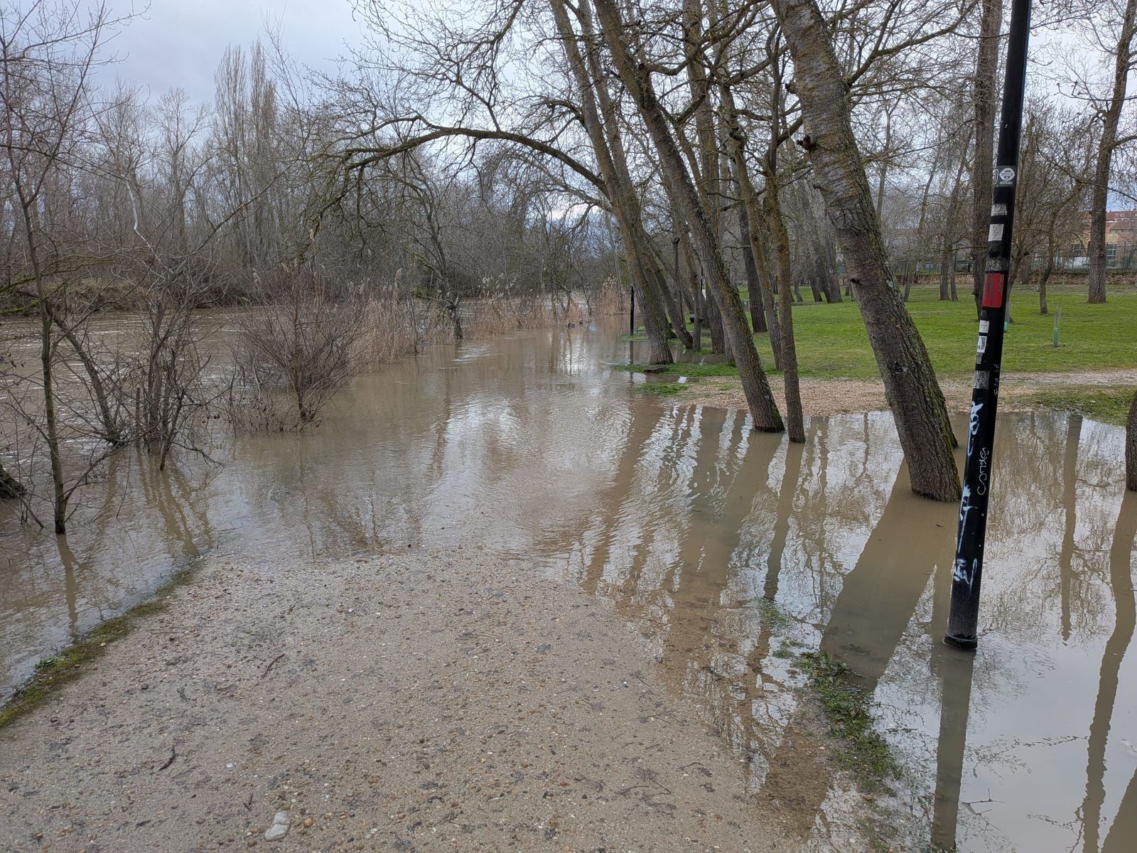 Paseo Tres Árboles cortado.Crecida río Duero Zamora
