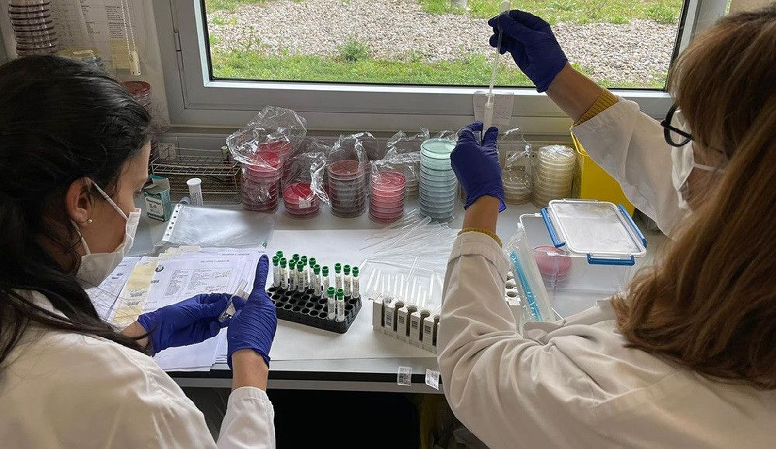 Amamantar estando vacunada con Pfizer puede inmunizar al bebé