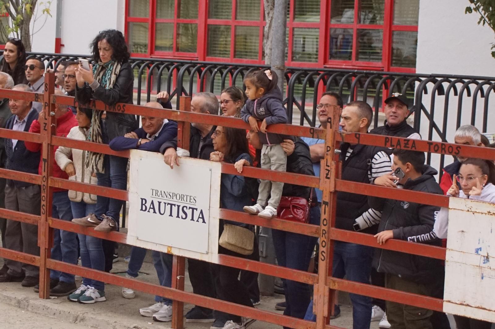 Alba de Tormes celebra un encierro, capea y encierro de minibueyes