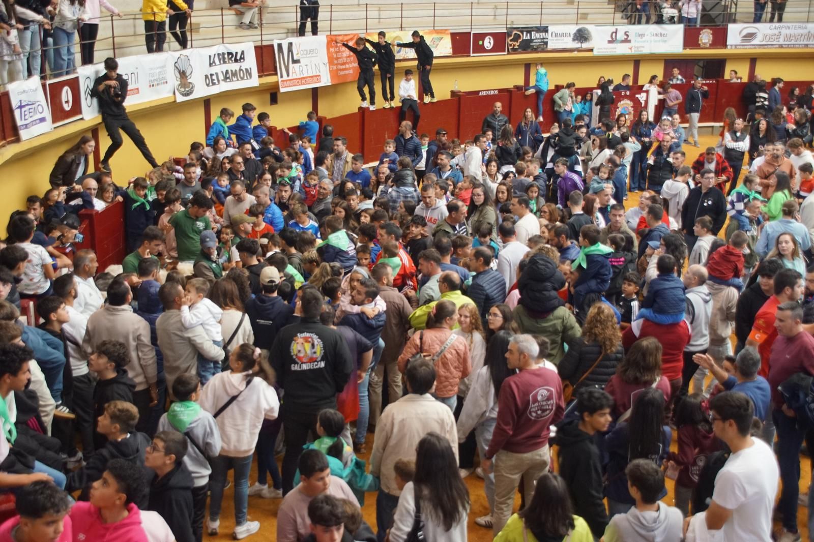 Alba de Tormes celebra un encierro, capea y encierro de minibueyes