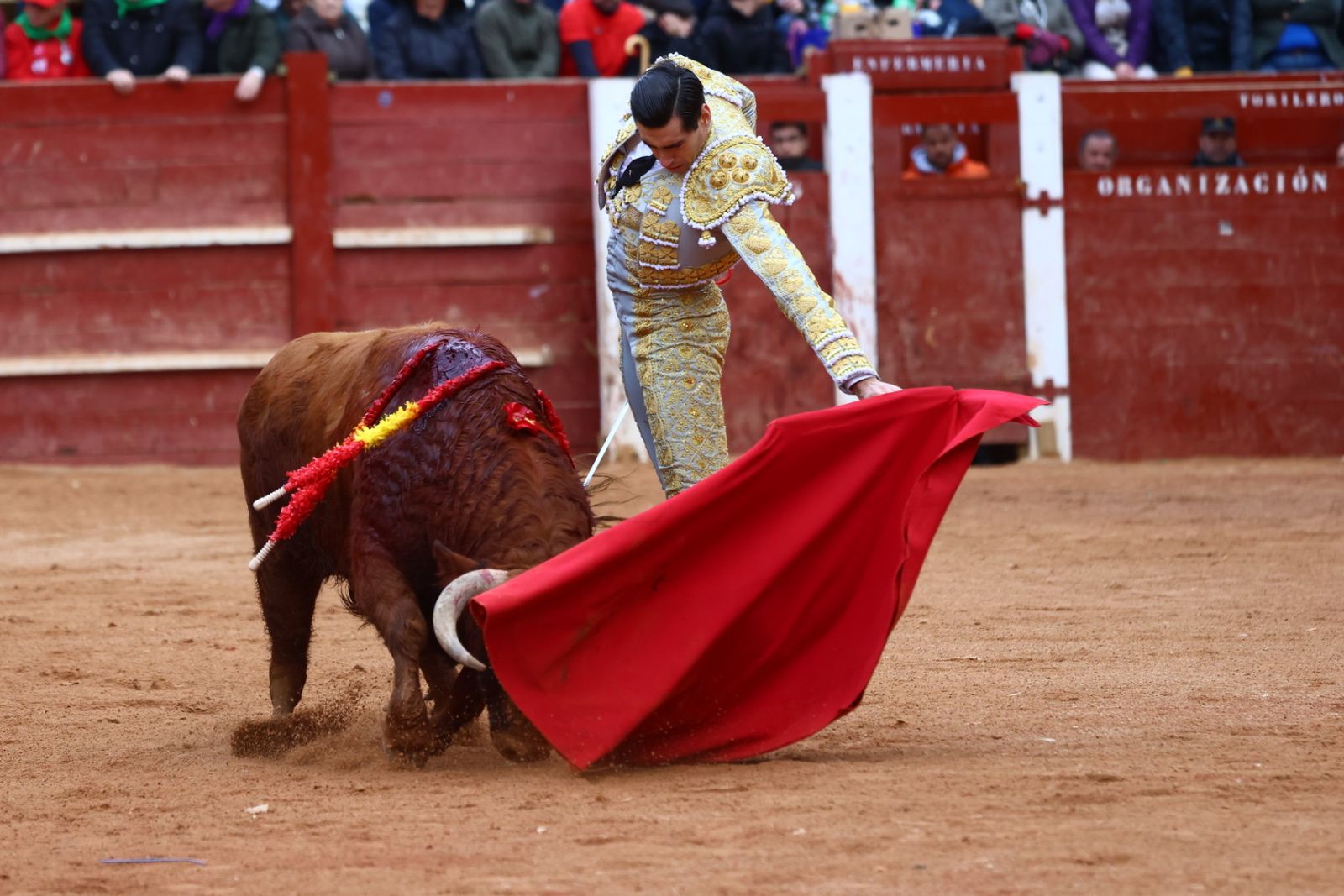 Novillada con picadores de lunes en el Carnaval del Toro de Ciudad Rodrigo 2026