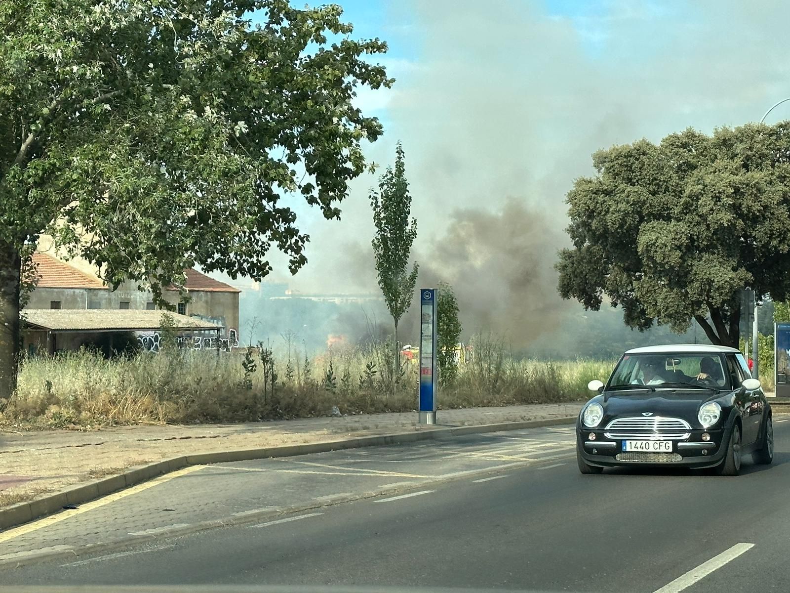 Incendio de pasto en Tejares
