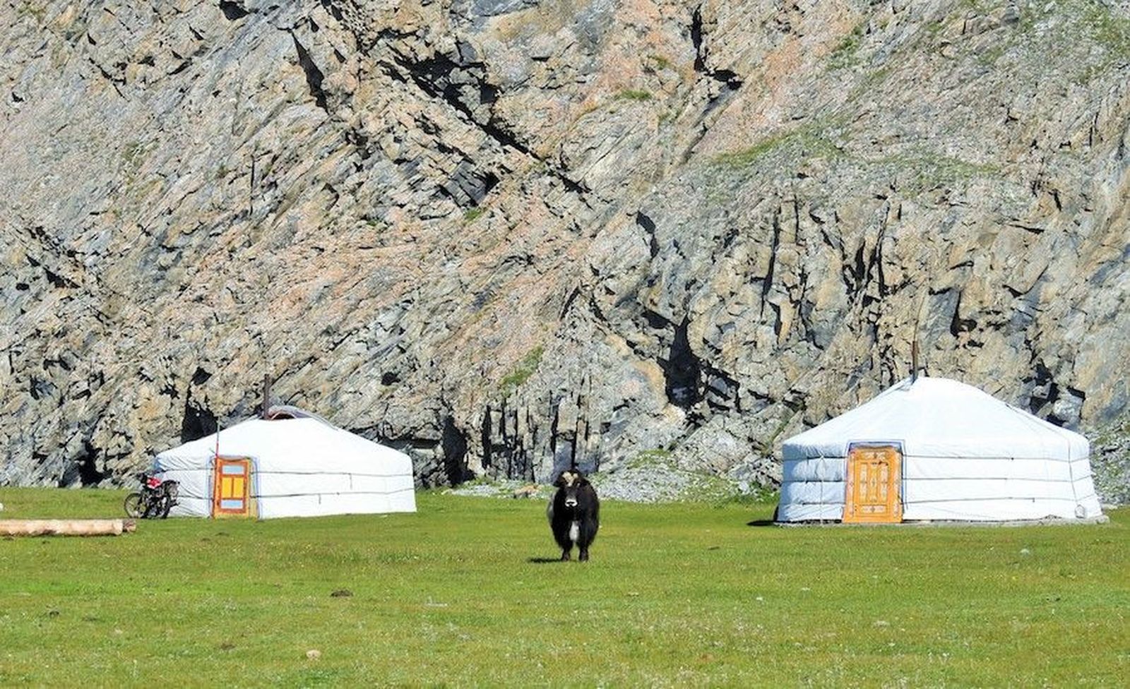 Pesca Mongolia