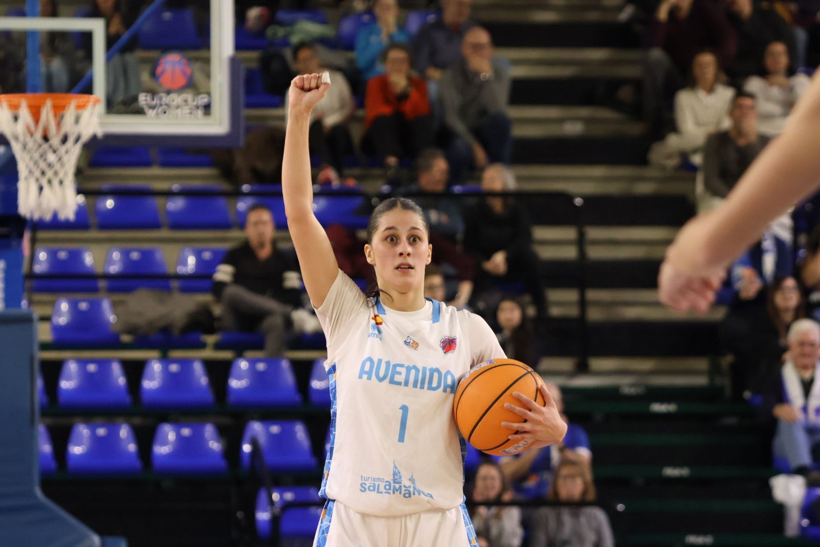 Perfumerías Avenida - Neptunas