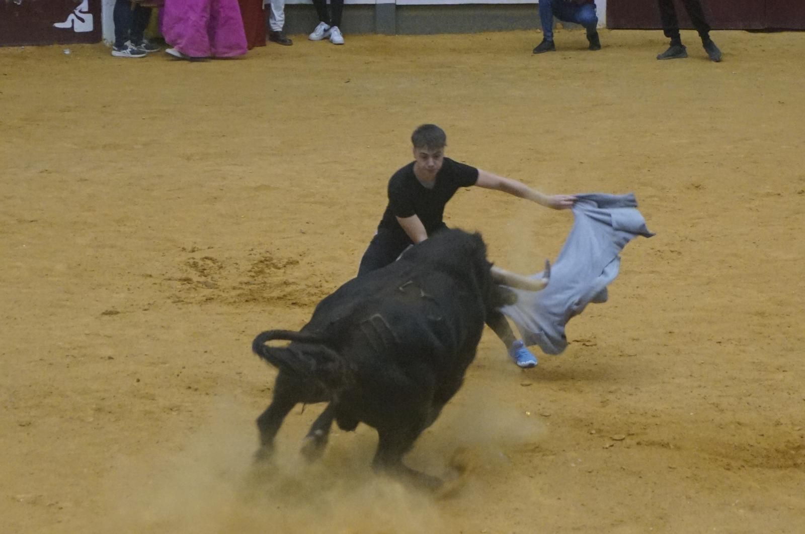 Toro del cajón y capea en Alba de Tormes