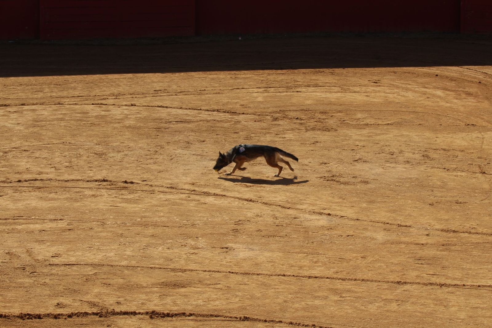 20230905122909-img-7959