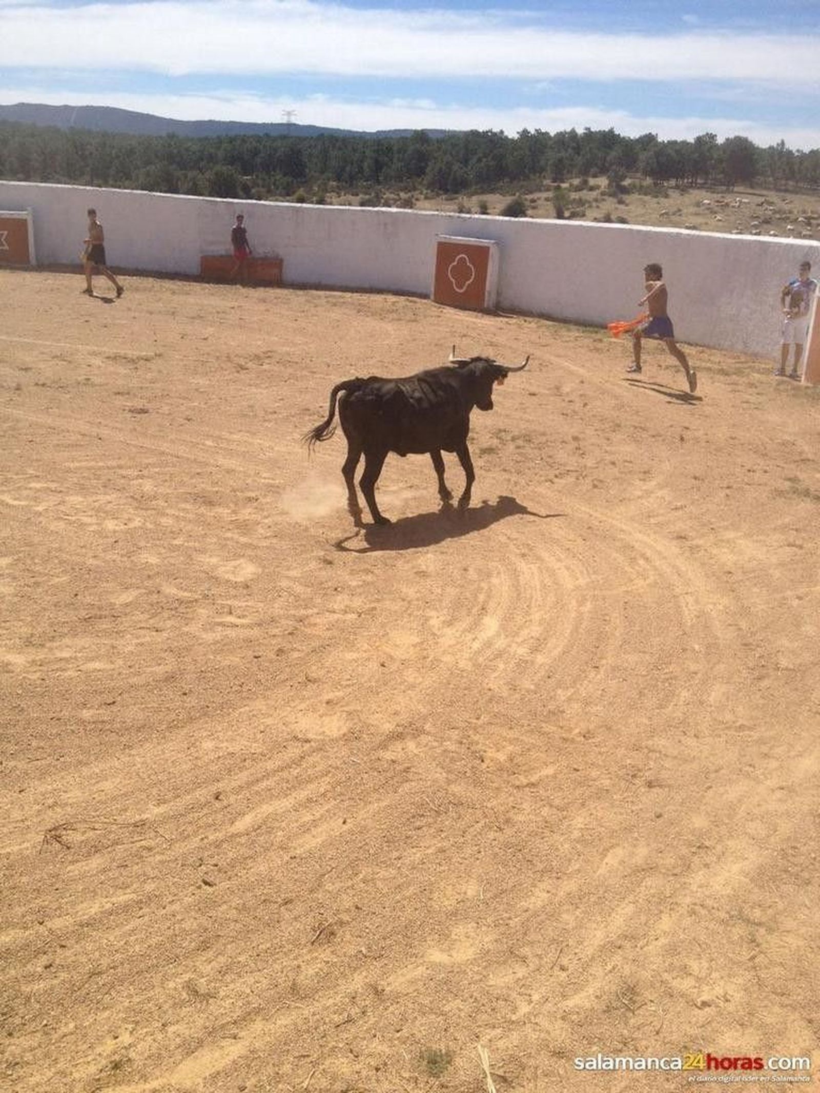 Fiestas en El Sahúgo: festejos taurinos