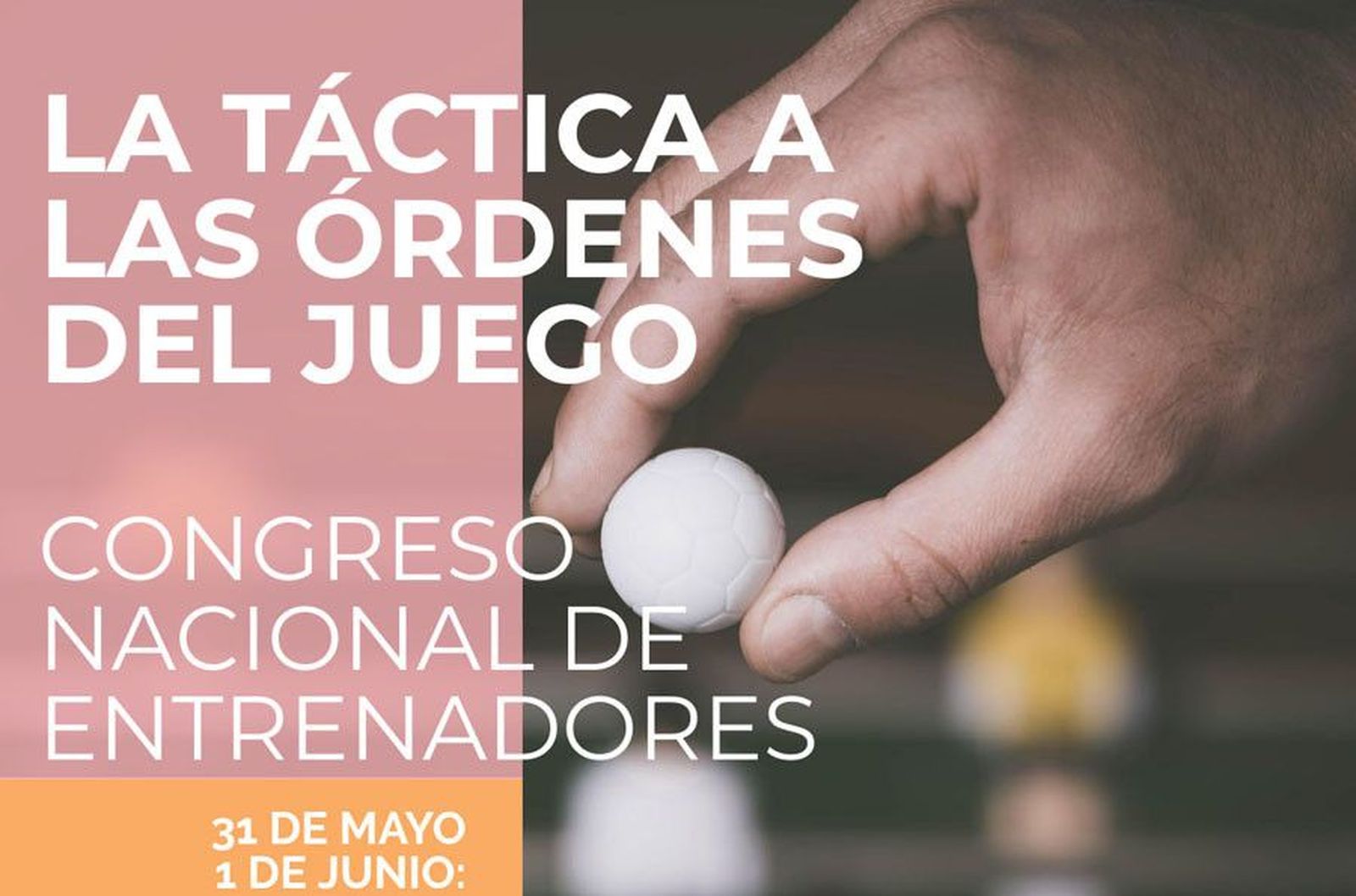 CARTEL CONGRESO FCYLF