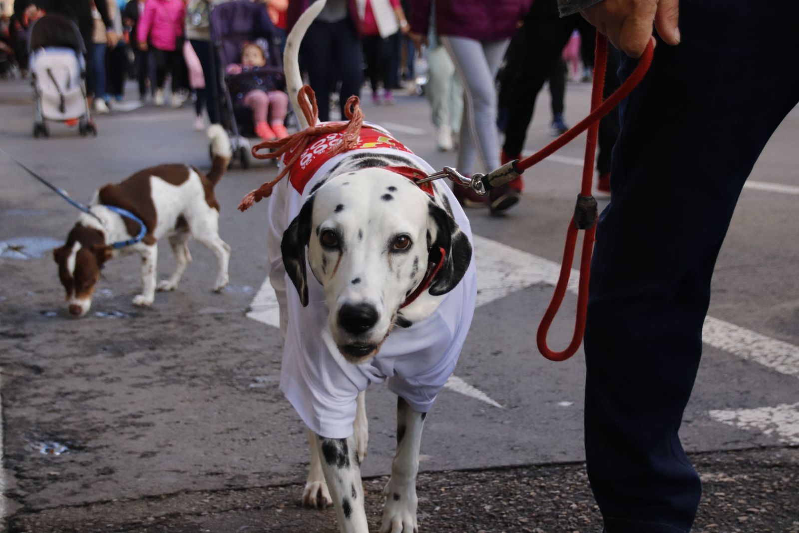 20221023111847-mg-6998