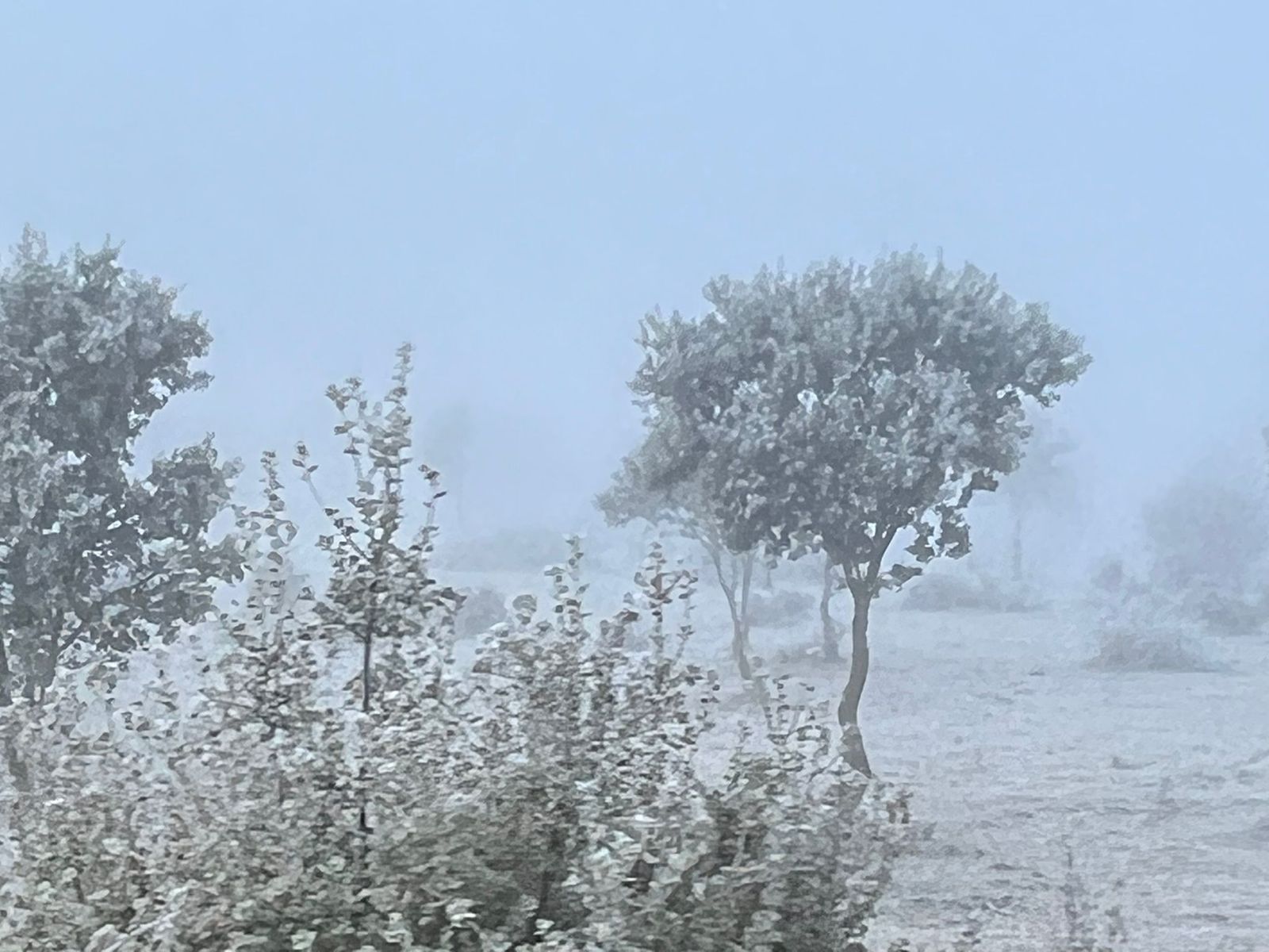 Niebla en Salamanca. Archivo. S24H.