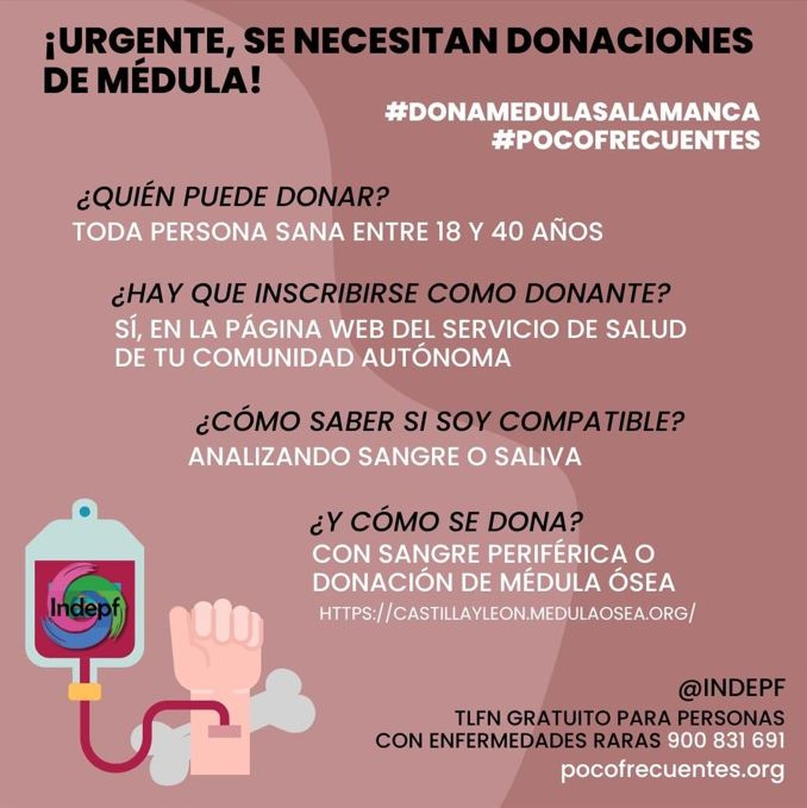 Campaña dona médula en Salamanca