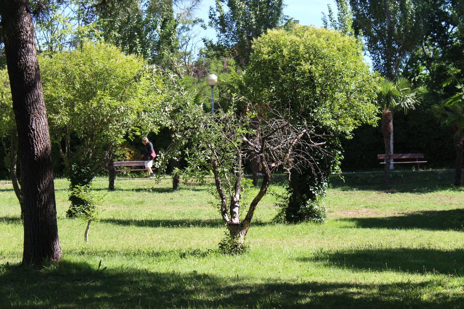 whatsapp-image-2024-07-02-at-11-30-14-4